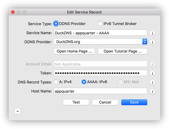 DuckDNS Service Record
